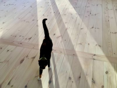 Holzfreunde aus Oldenburg - Strohballenbau - Lehmputz